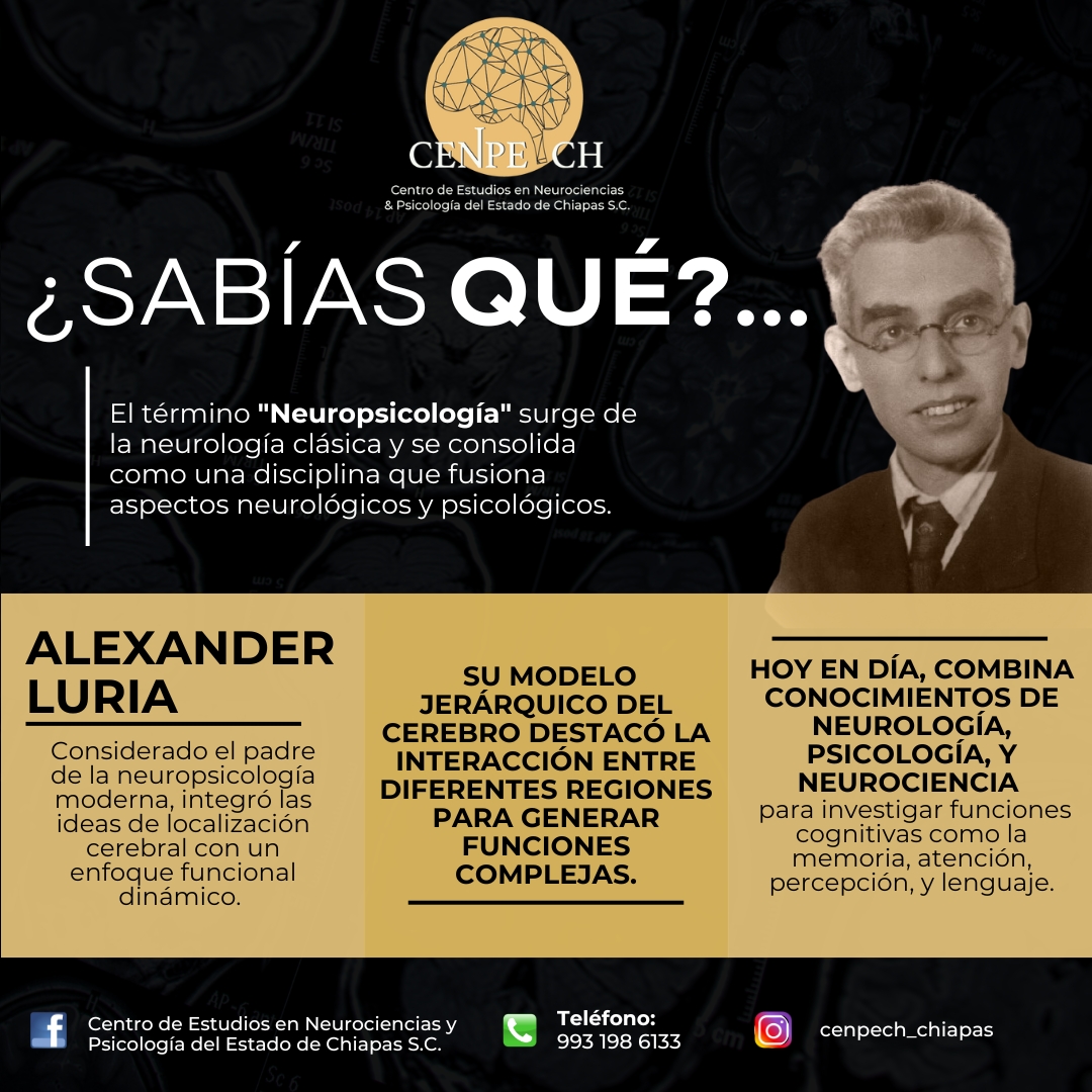 ¡Explorando el cerebro y su potencial!