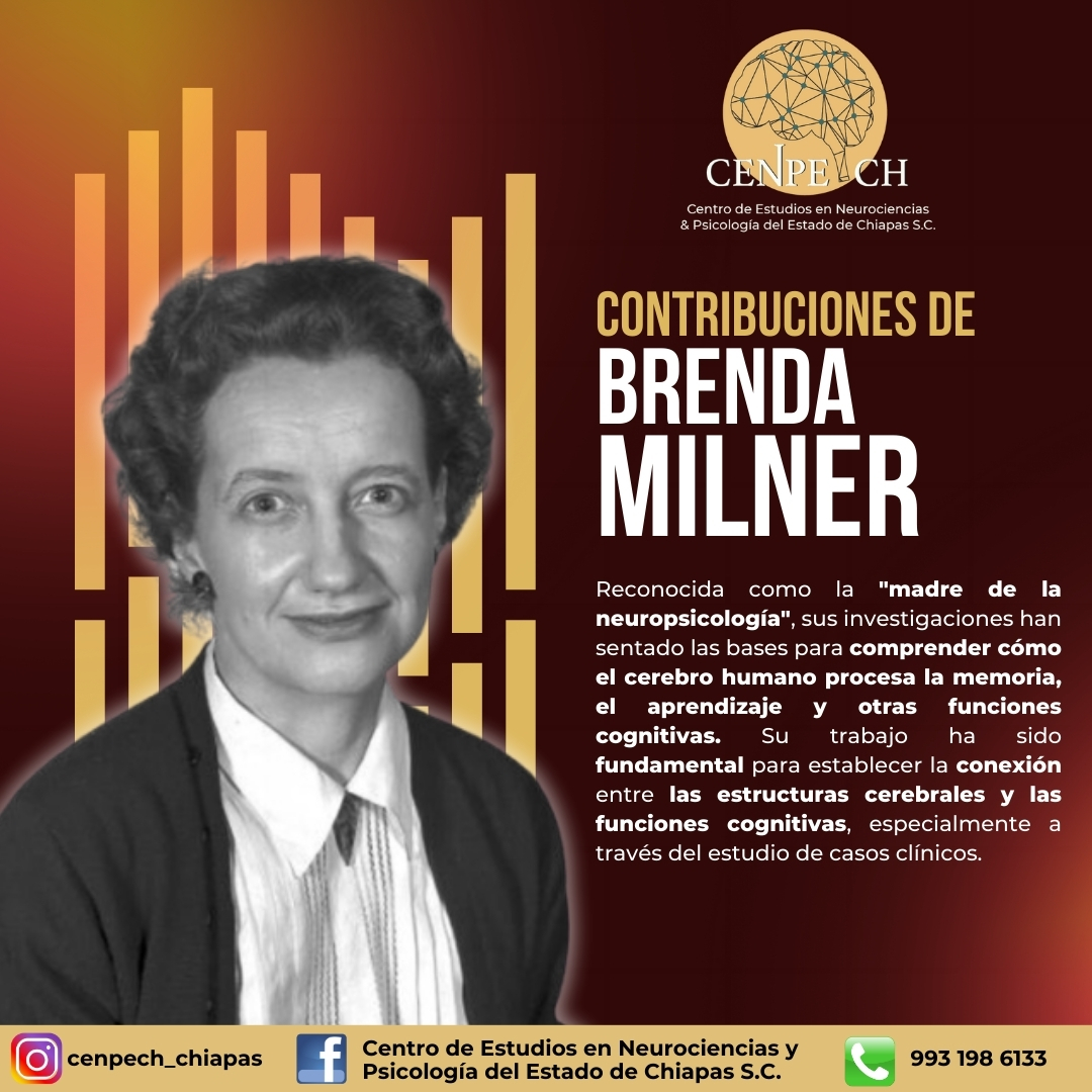 📌 Brenda Milner: 🧠 La pionera que revolucionó nuestra comprensión del cerebro y la memoria.