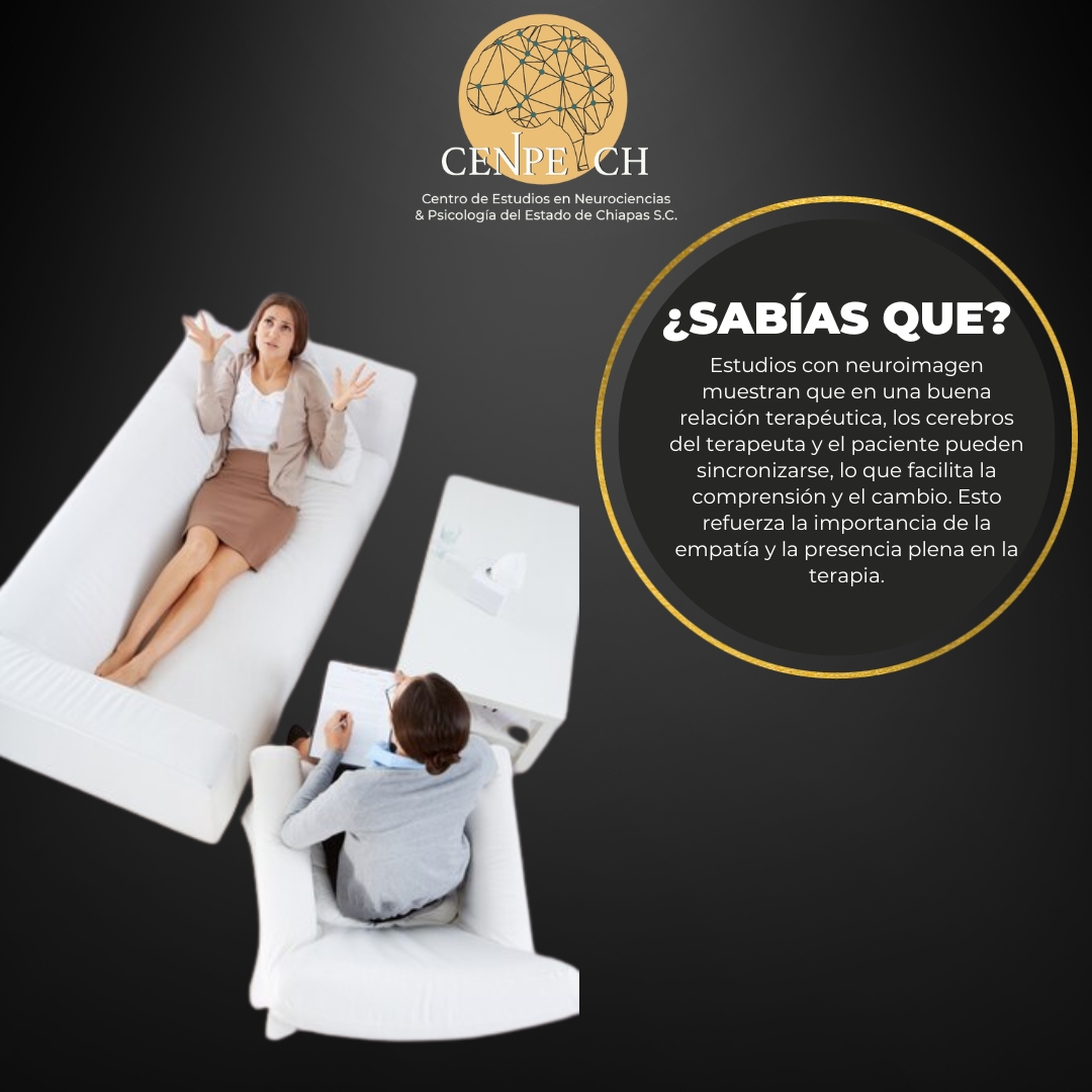 ¡ El poder de la sincronización cerebral en terapia !