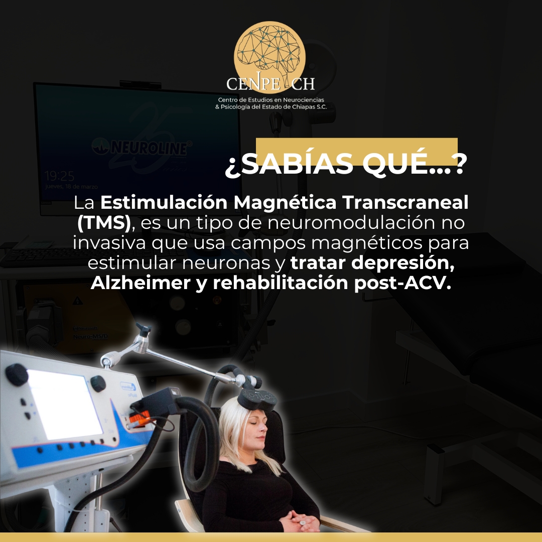 📌CENPECH Informa: