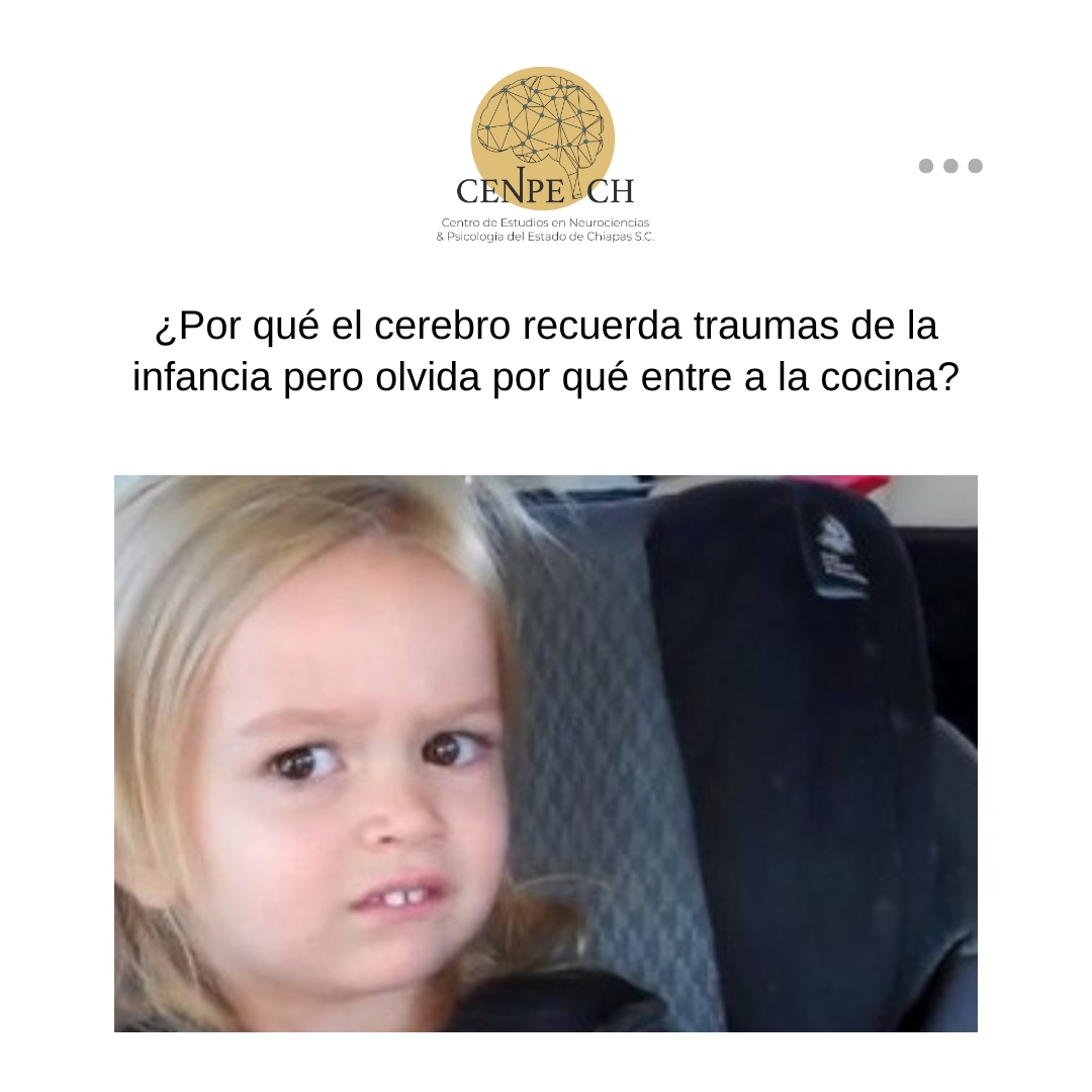 Los traumas se graban porque activan la amígdala y el hipocampo...