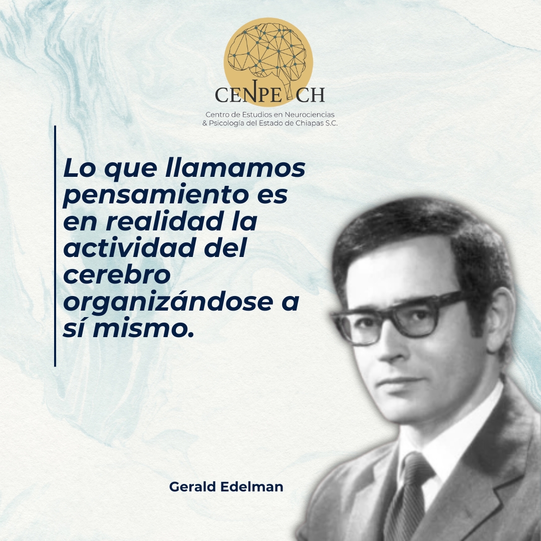 🧠 Pensar es, en esencia, el cerebro organizándose a sí mismo.