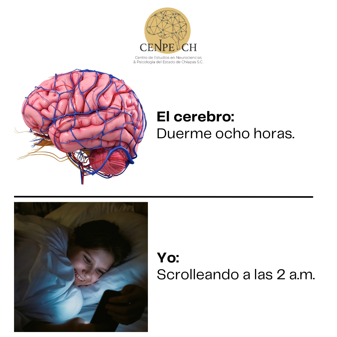 📌 #cenpechinforma  🧠🤓