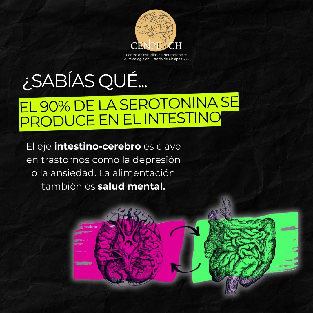 📌#cenpechinforma 🫵🧠