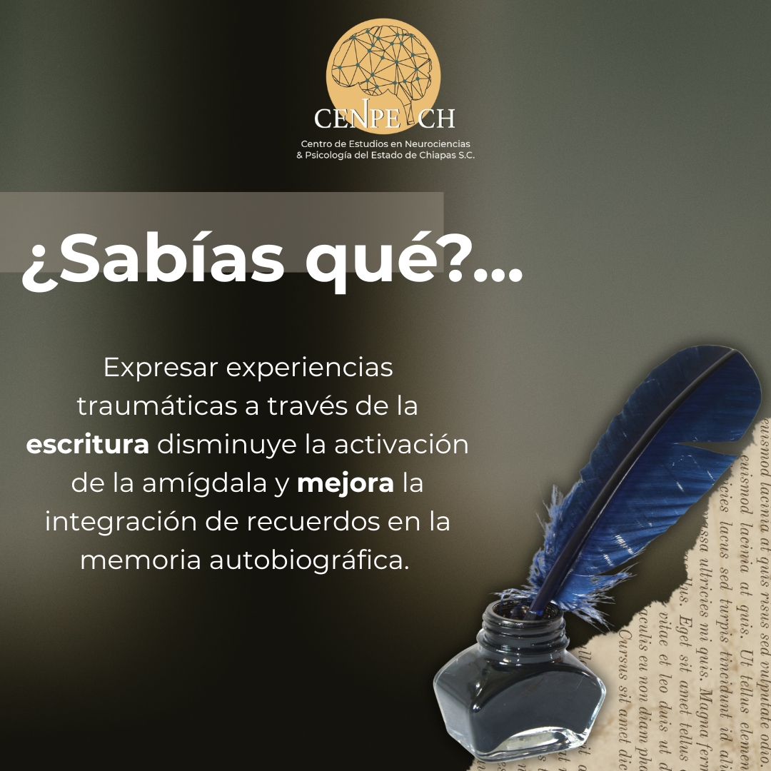 📌¿Sabías qué...? 🤓🧠✍️