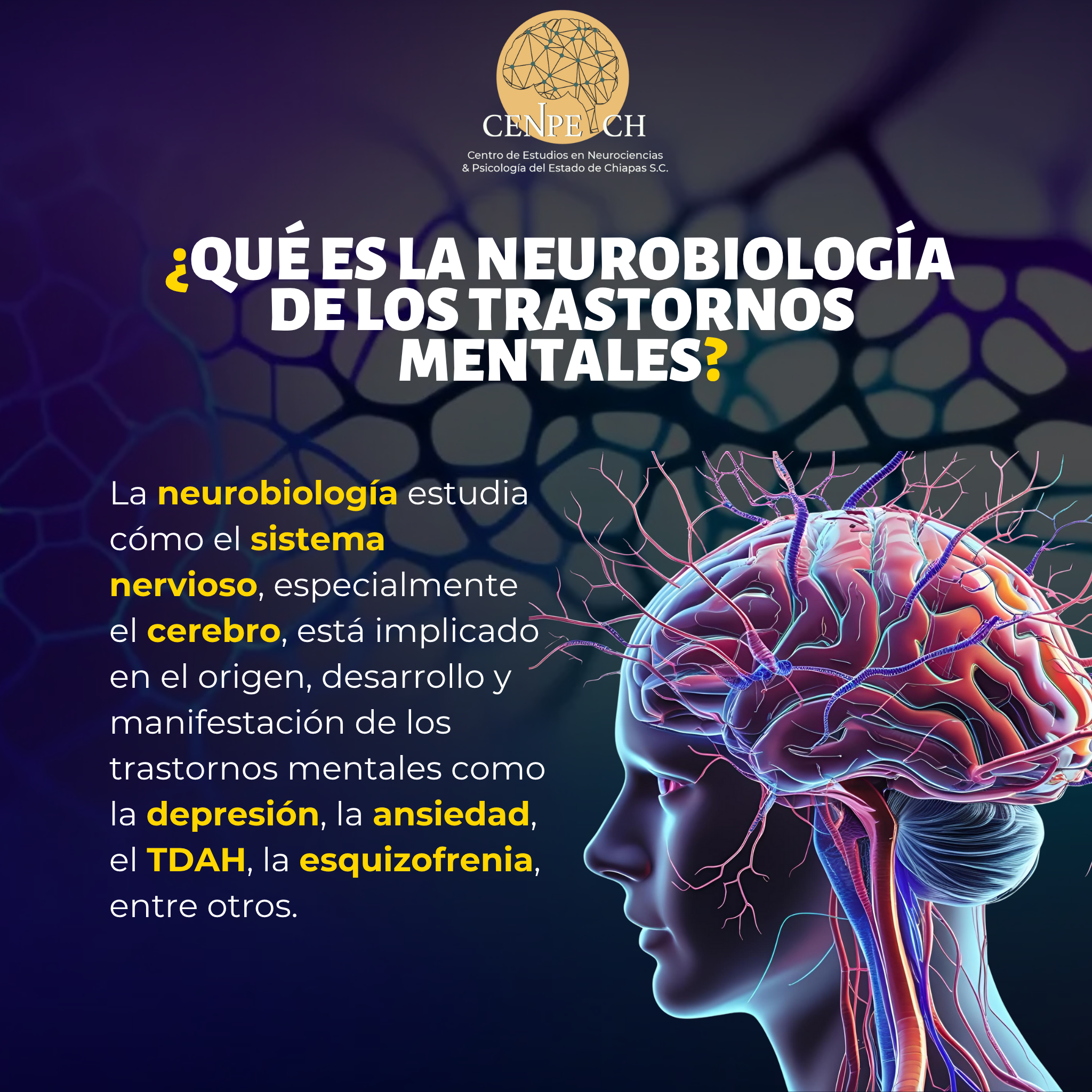 📌¿Sabías qué...?