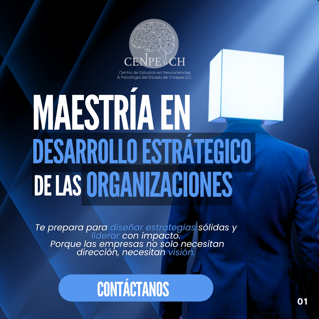 ¿𝗖𝗼́𝗺𝗼 𝗶𝗺𝗽𝗮𝗰𝘁𝗮 𝗲𝗹 𝗲𝗻𝘁𝗼𝗿𝗻𝗼 𝗲𝗰𝗼𝗻𝗼́𝗺𝗶𝗰𝗼 𝗲𝗻 𝗹𝗮 𝘁𝗼𝗺𝗮 𝗱𝗲 𝗱𝗲𝗰𝗶𝘀𝗶𝗼𝗻𝗲𝘀 𝗲𝘀𝘁𝗿𝗮𝘁𝗲́𝗴𝗶𝗰𝗮𝘀?