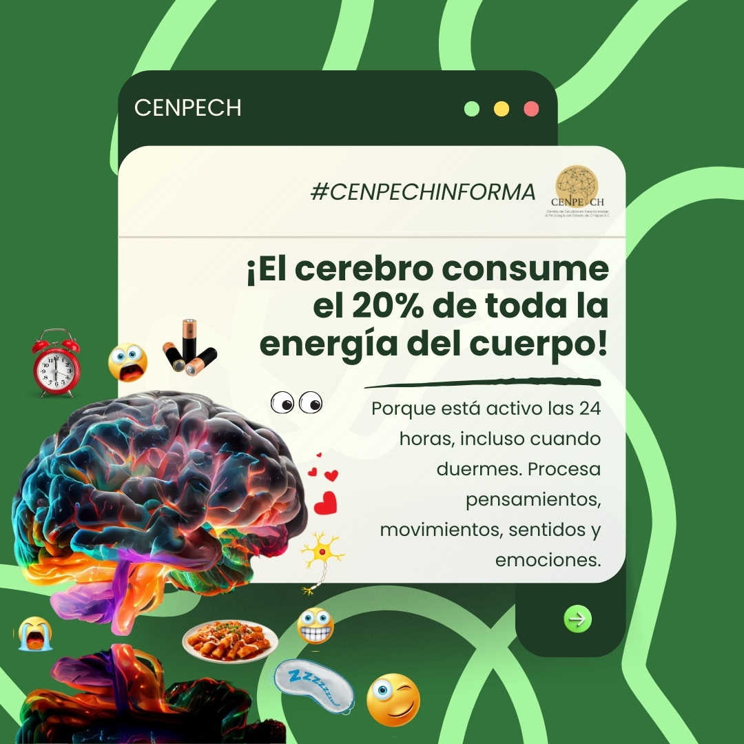 Fotografía 🧠 ¿Sabías que tu cerebro consume más energía que cualquier otro órgano?