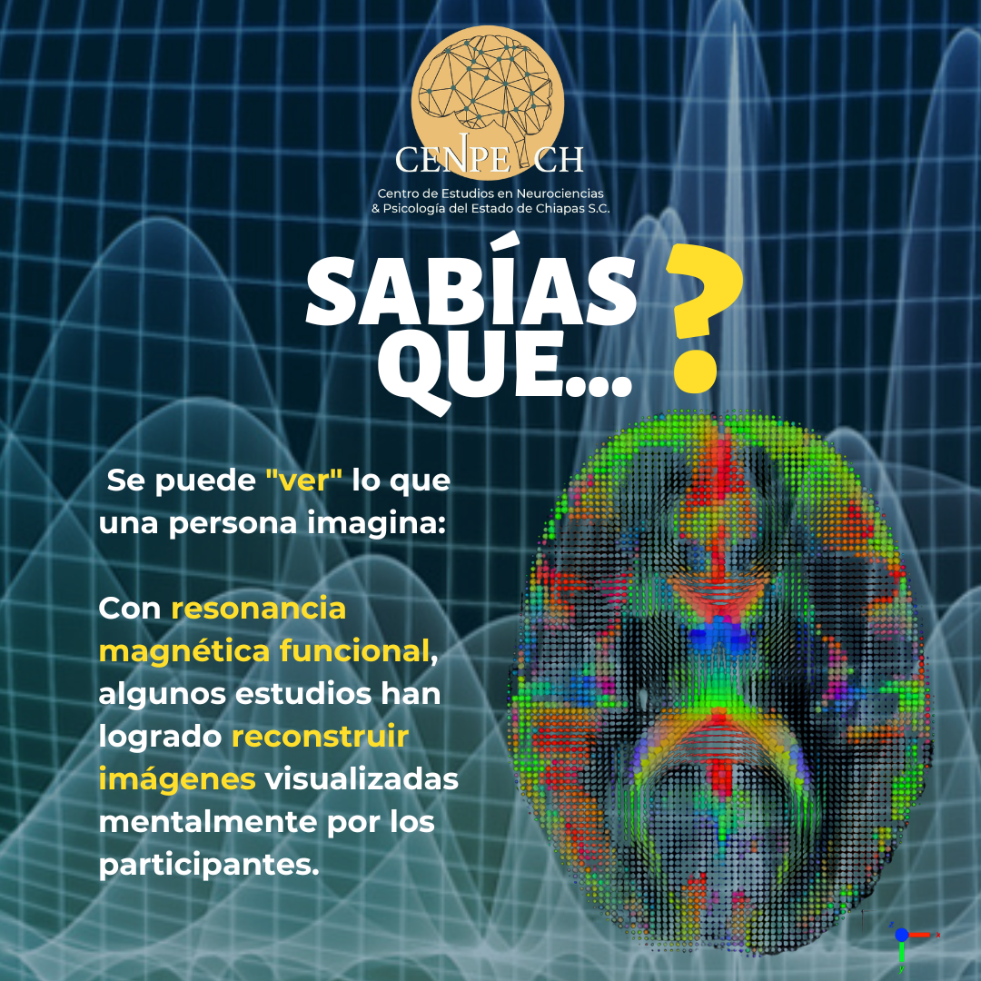 Sabías qué...? #Neuropsicología