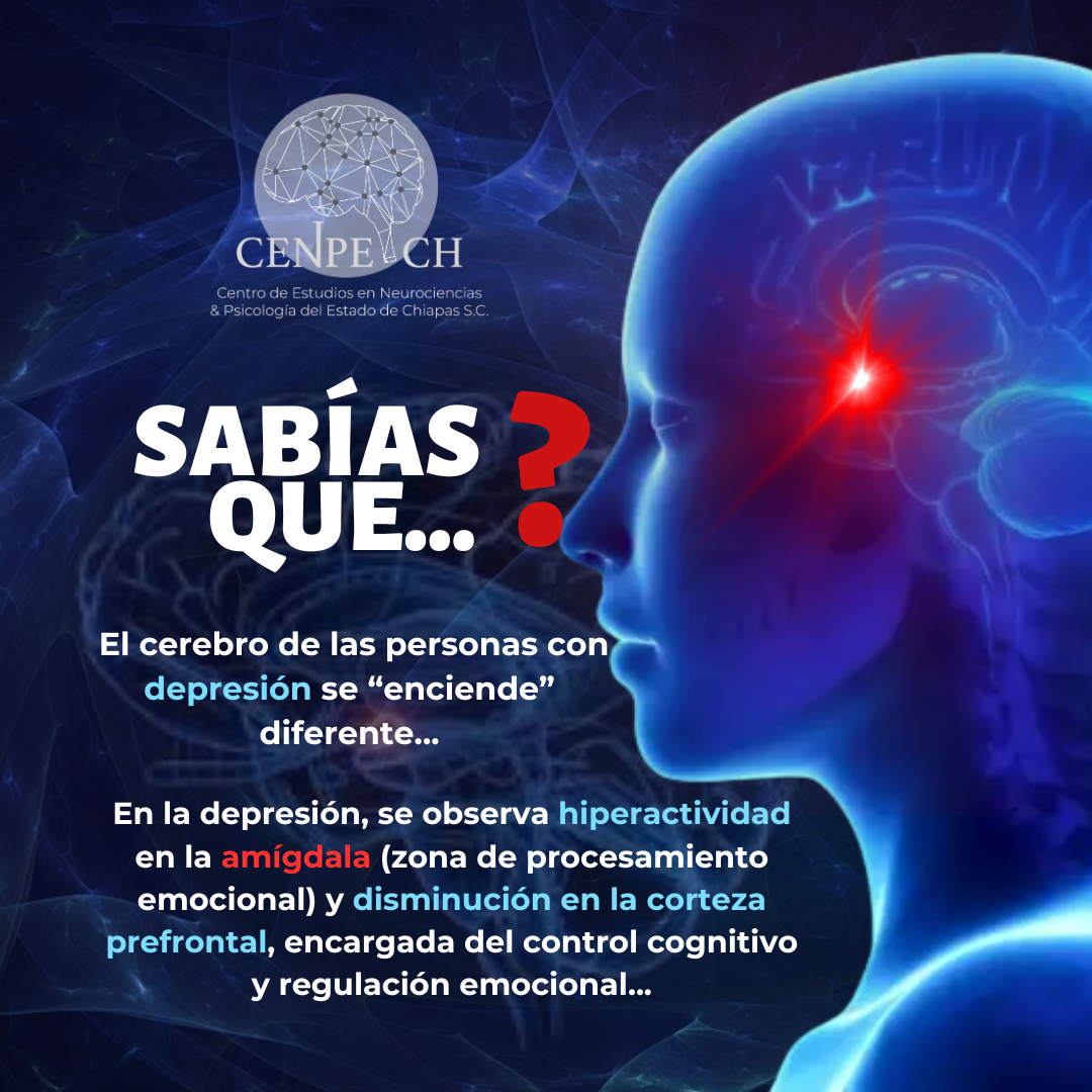 Fotografía Sabías qué...? #Neuropsicología